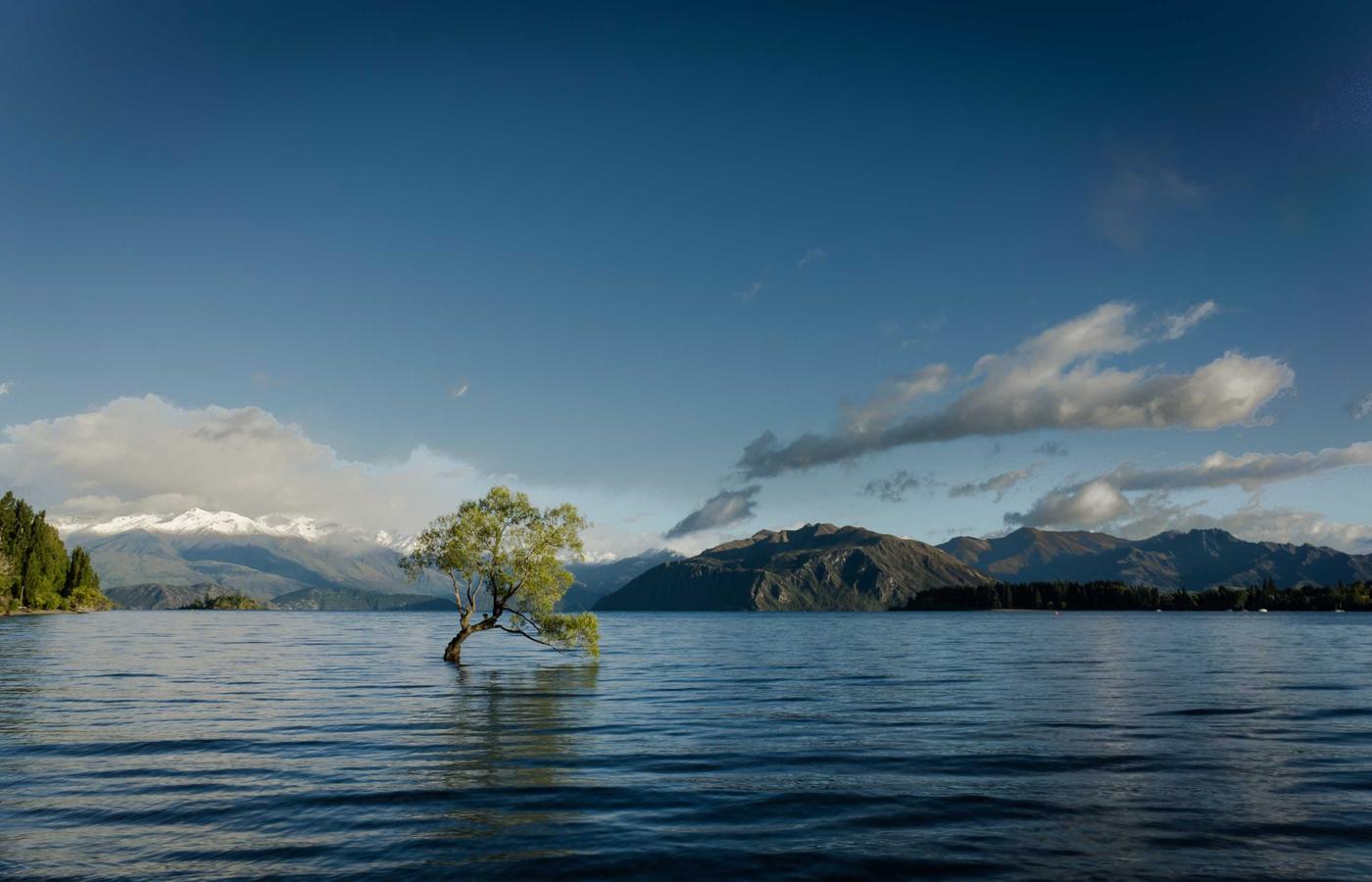 Geavanceerde beeldbewerking